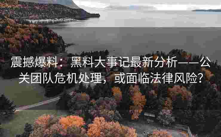 震撼爆料：黑料大事记最新分析——公关团队危机处理，或面临法律风险？